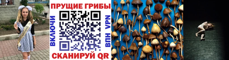 Псилоцибиновые грибы ЛСД  Армянск 